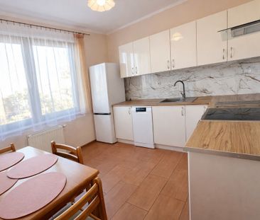 Osiedle Magnolia-2 pokoje na wynajem - Zdjęcie 5