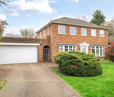 4 bedroom detached house to rent - Photo 3