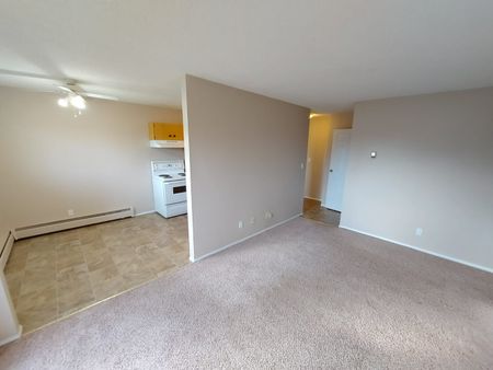 Dog Friendly 1 Bedroom Apartments! - Photo 4