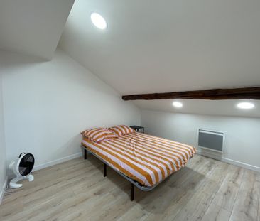 Location Appartement 1 pièce 22m² ANNECY 74000 - Photo 2