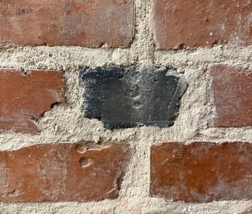 Erstvermietung: 2 Zi-Wohnung in Bestlage in Nürnberg St. Johannis - Photo 1