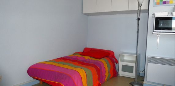 Location Appartement 1 pièce 18m² TOURS 37000 - Photo 2