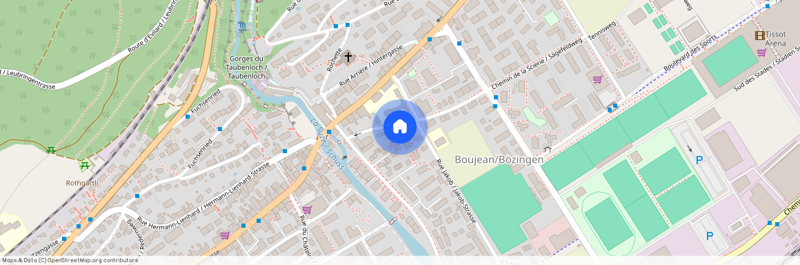 2504, Biel/Bienne, Chemin De La Scierie / Sägefeldweg, 16