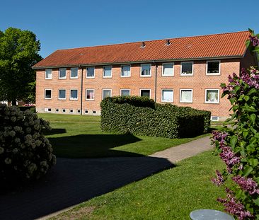 Tårnparken, Viborg - Photo 2