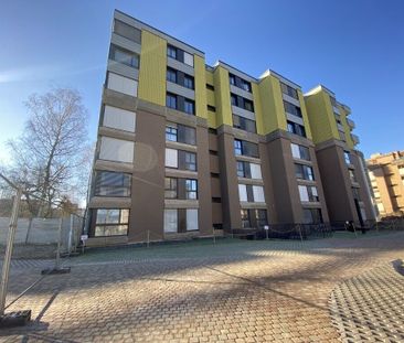 THIS IS A PLACE TO LIVE! - Photo 4