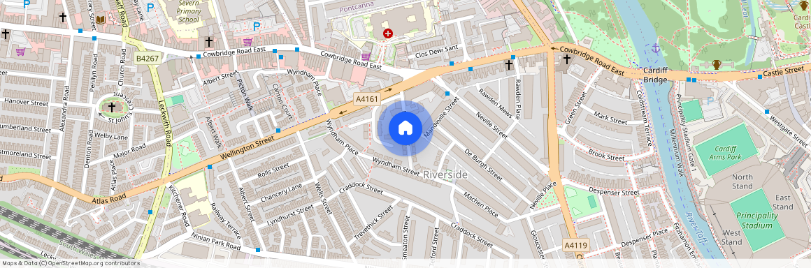 Lewis Street, Riverside, Cardiff