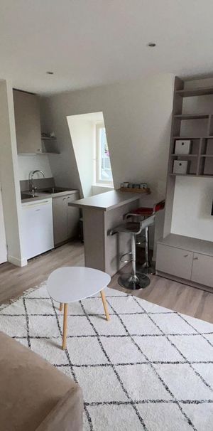 Location Appartement 1 pièce 14m² PAU 64000 - Photo 1