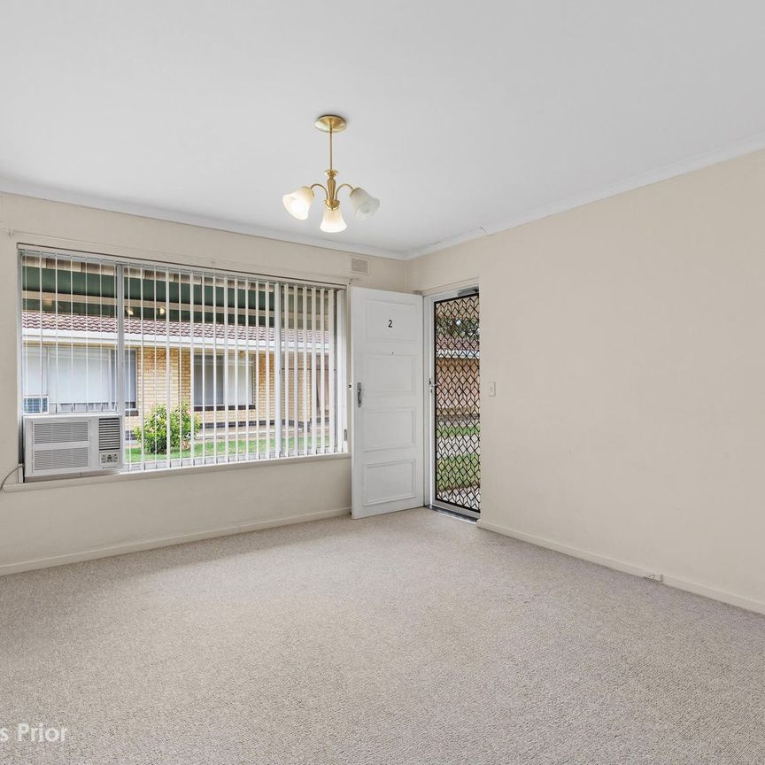 Tidy Unit - Close to All Amenities! - Photo 1