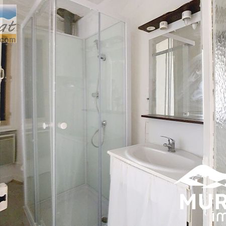 Location Appartement 1 pièce 31m² THIERS 63300 - Photo 3