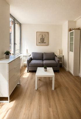 Location Appartement 1 pièce 23m² ALBI 81000 - Photo 1