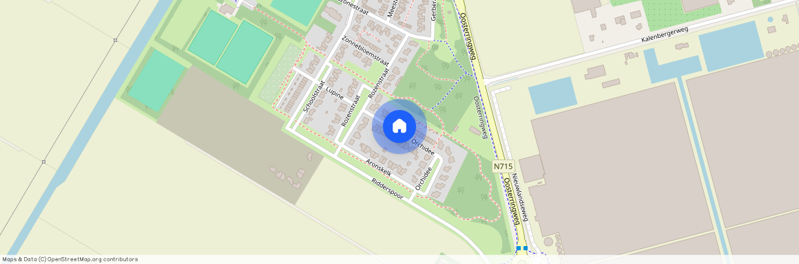Orchidee, 8315 BD Luttelgeest