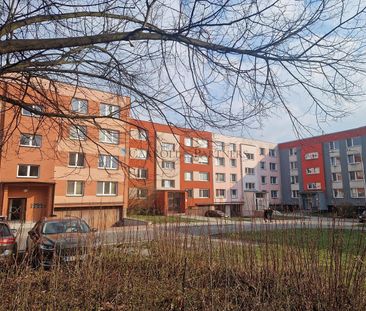 Pronájem bytu 1+1 36 m² - Photo 4