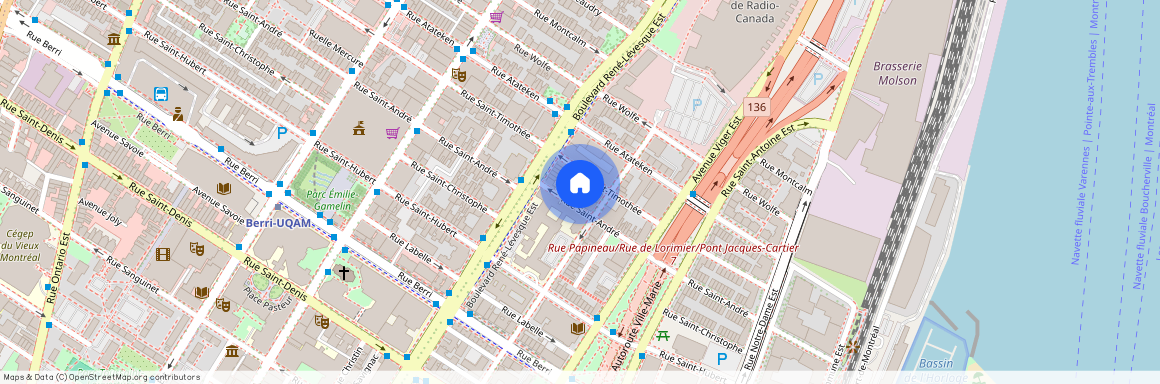 1128 Rue Saint-Timothée, Ville-Marie, Ville-Marie, Ile de Montréal, H2L 2P5