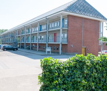 Skolevænget, 6200, Aabenraa - Foto 2