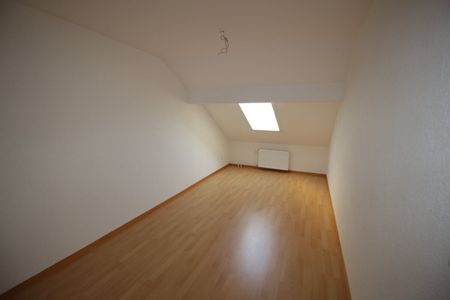 Superb duplex under the roof - Photo 4