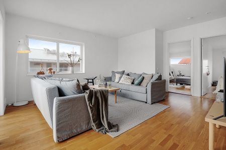 Tunnbindarvägen, Smögen - Foto 5