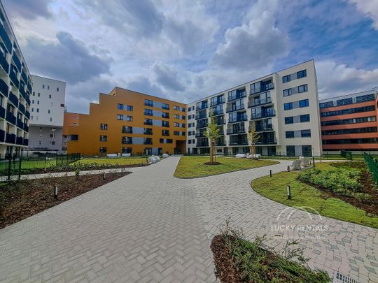Pronájem bytu 1+kk 32 m² - Photo 1