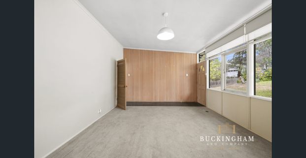 Marvellous Monty - Photo 1