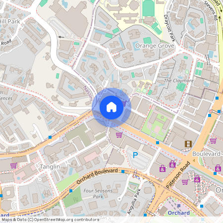 402 Orchard Road Singapore, D09, 238876