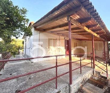 Μονοκατοικία για ενοικίαση Παλούκι (Αμαλιάδα) - Photo 5