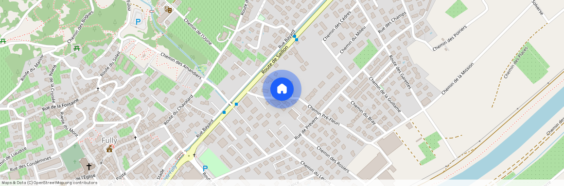 Chemin Pré Fleuri 9, 1926 Fully