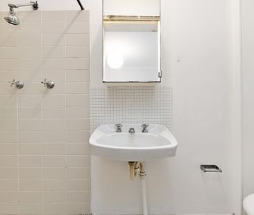 Located Opposite Camperdown Park - Photo 3