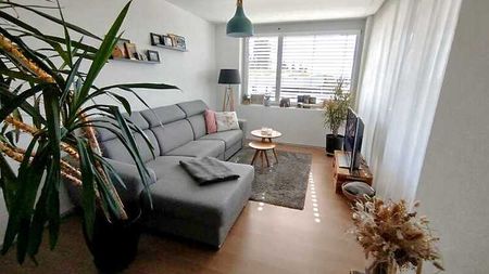 3½ Zimmer-Wohnung in St. Erhard (LU), möbliert, auf Zeit - Foto 3