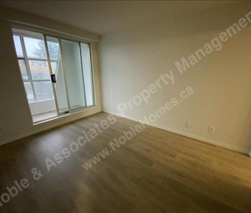 4113 Fraser Street P7 Vancouver - Photo 5