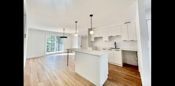 Logement4-1/2 appartement - Photo 2