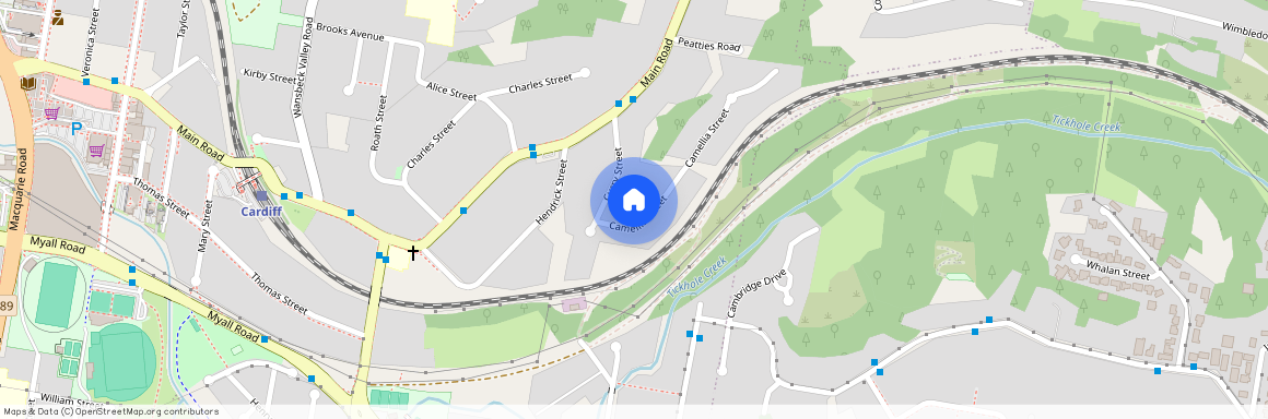 4 Camellia Street, NSW 2285, Cardiff