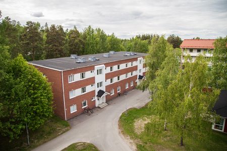 Ankarskatavägen 91 B, 94134, Piteå - Photo 4