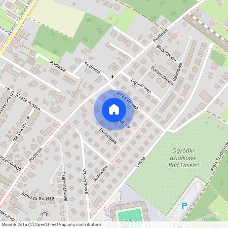 ul. Leszczynowa, Kopernika, Gliwice, śląskie