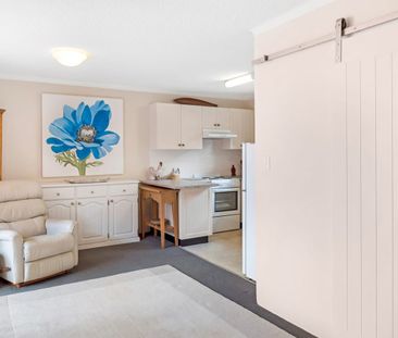 North facing light filled apartment - Photo 2