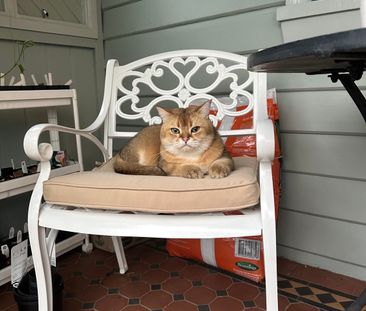 Harris Park - Photo 6