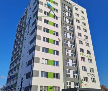 Helle und gerÃ¤umige 2 Raum Wohnung - Photo 4