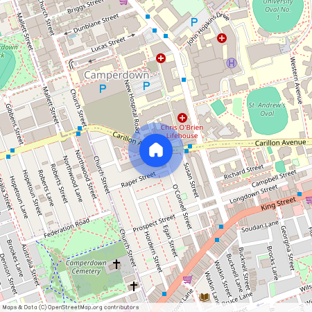 302A/130 Carillon Street, NSW 2042, Newtown