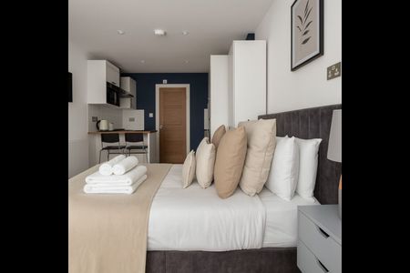 Studio Flat, Greyhound Road, W6 - Photo 3