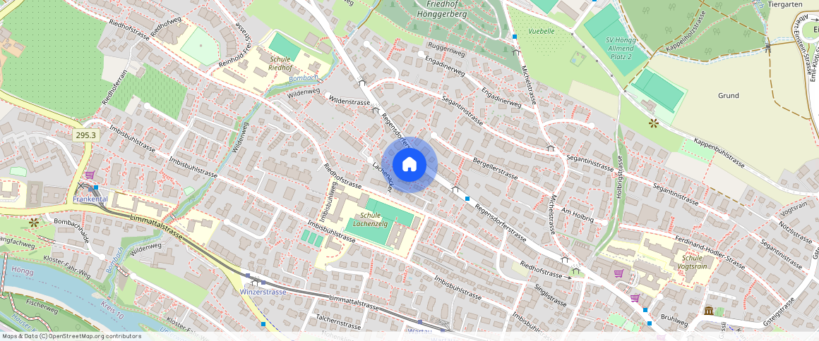 Regensdorferstr, 69, 8049 Zürich