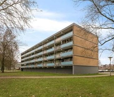 Leimuidenplaats 0ong, 6843 JV Arnhem, Nederland - Foto 1