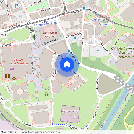 F. X. Riepla, Ostrava - Moravská Ostrava
