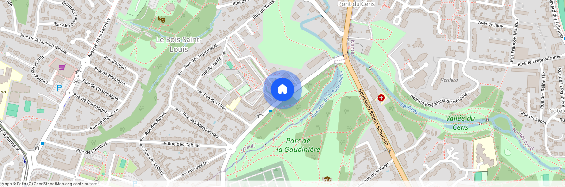 95 Rue de la Patouillerie, 44700 Orvault