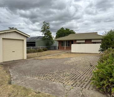 TWO BEDROOM UNIT IN CENTRAL LOCATION - Photo 5