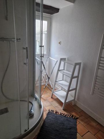 Location Appartement 3 pièces Meublé 49m² ANGERS 49100 - Photo 3