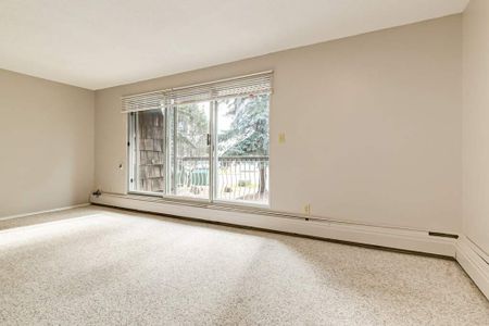 Renovated Suite - 1 Bedroom - Photo 2
