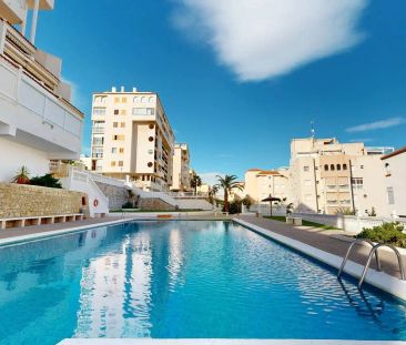 Elche / Elx - Photo 3