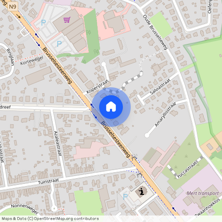 Merelbeke-Melle - Brusselsesteenweg 111 0006