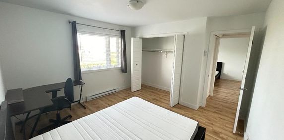 1er décembre 5 1/2 MEUBLÉ, IDÉAL POUR ÉTUDIANTS, près UQTR, Air climatisé, Lave-vaisselle, micro-onde, aspirateur, stationnements déneigés NON-FUMEUR - Photo 2