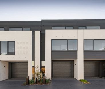 20/3 George Street, Sandringham VIC 3191 - Townhouse For Rent | Domain - Photo 5