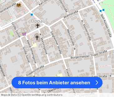 Gemütliche 2-Zimmer-Wohnung mit Balkon in Oppau - Foto 1