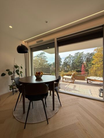 Superb new 3-room penthouse apartment with terrace in Vessy - Photo 3